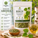 Hojas de abedul