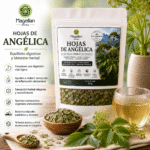 Hojas de Angélica